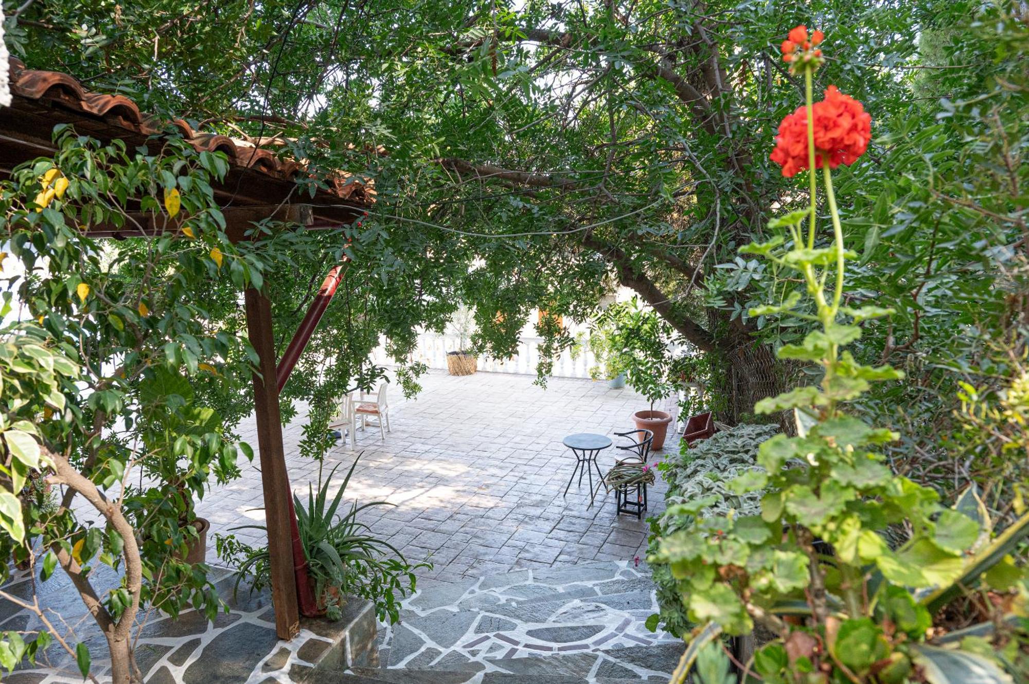 Lions 2 Studios & Apartments, Poros Island. Poros Town エクステリア 写真