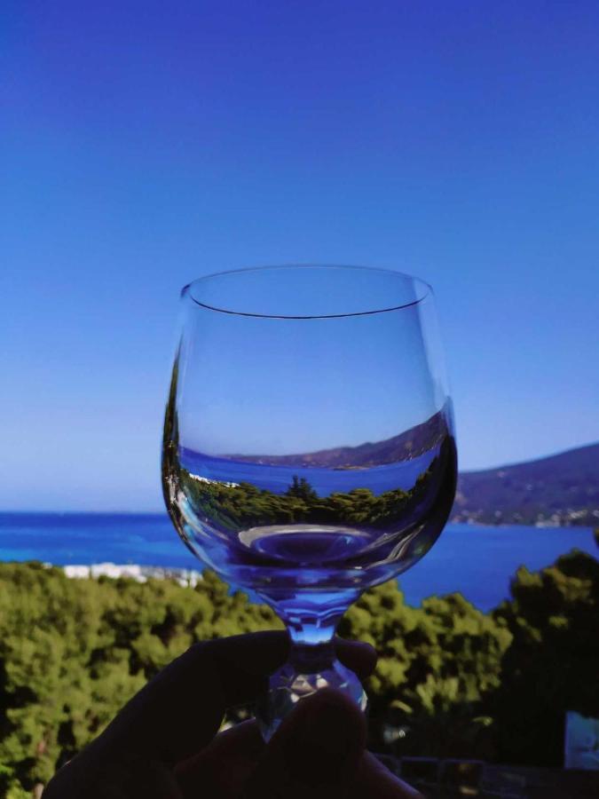 Lions 2 Studios & Apartments, Poros Island. Poros Town エクステリア 写真